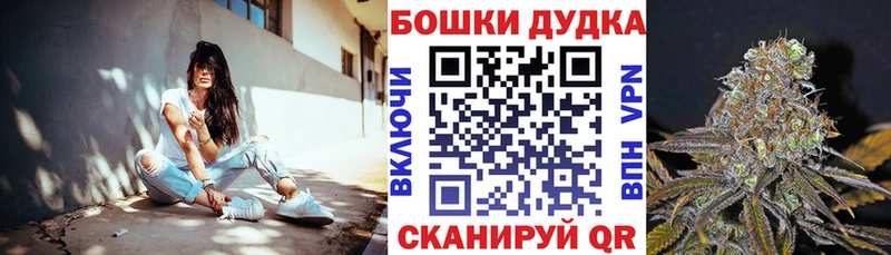 Где купить наркоту Гатчина Каннабис  АМФ  гидра ТОР  Кокаин  МЕТАДОН  A PVP  Меф  ЭКСТАЗИ 