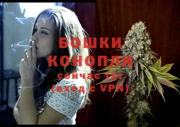 хмурый Бронницы