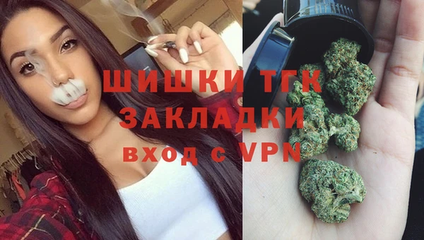стафф Бородино