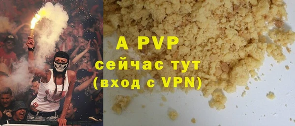 стафф Бородино