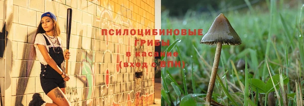 стафф Бородино