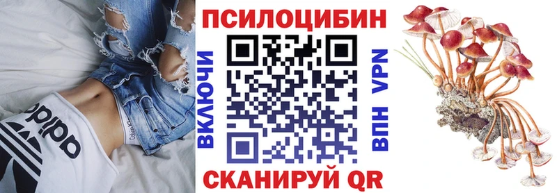купить  сайты  Гатчина  Галлюциногенные грибы GOLDEN TEACHER 