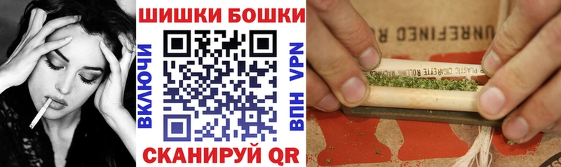 Бошки марихуана семена  купить наркотики цена  Гатчина 